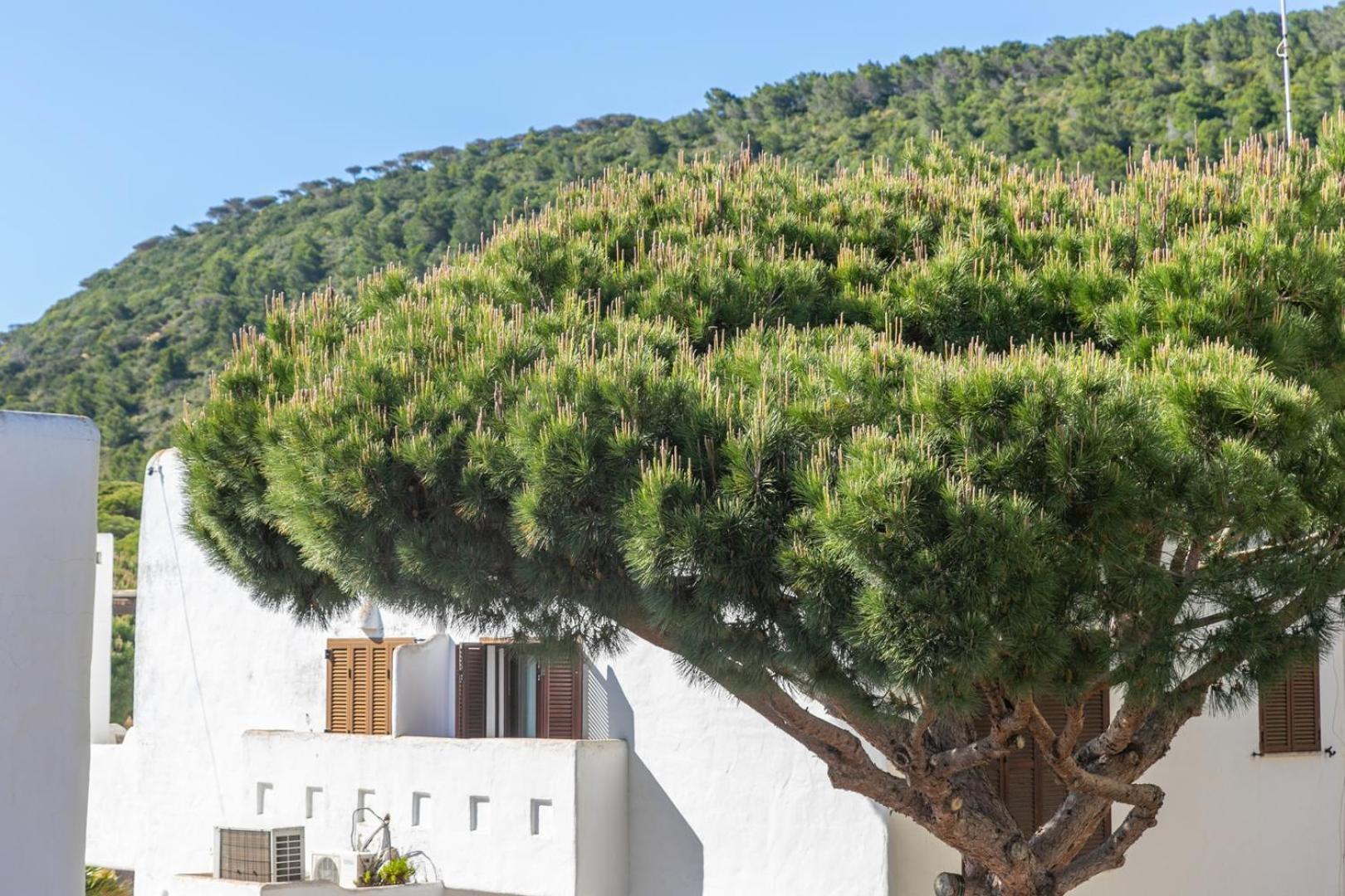 Adosado Nuevo Con Piscina, Playa, Garaje Y Jardin Los Caños de Meca Kültér fotó